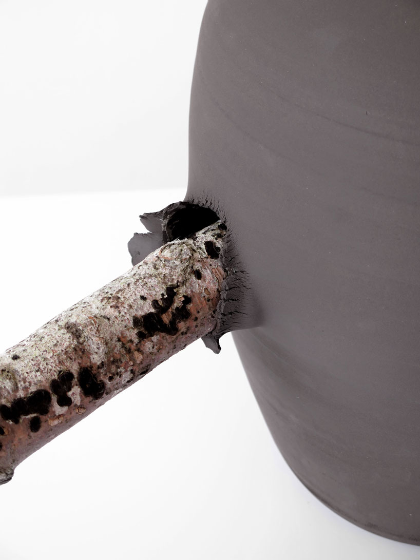 martín azúa's vases are tenderly interrupted by nature - 6