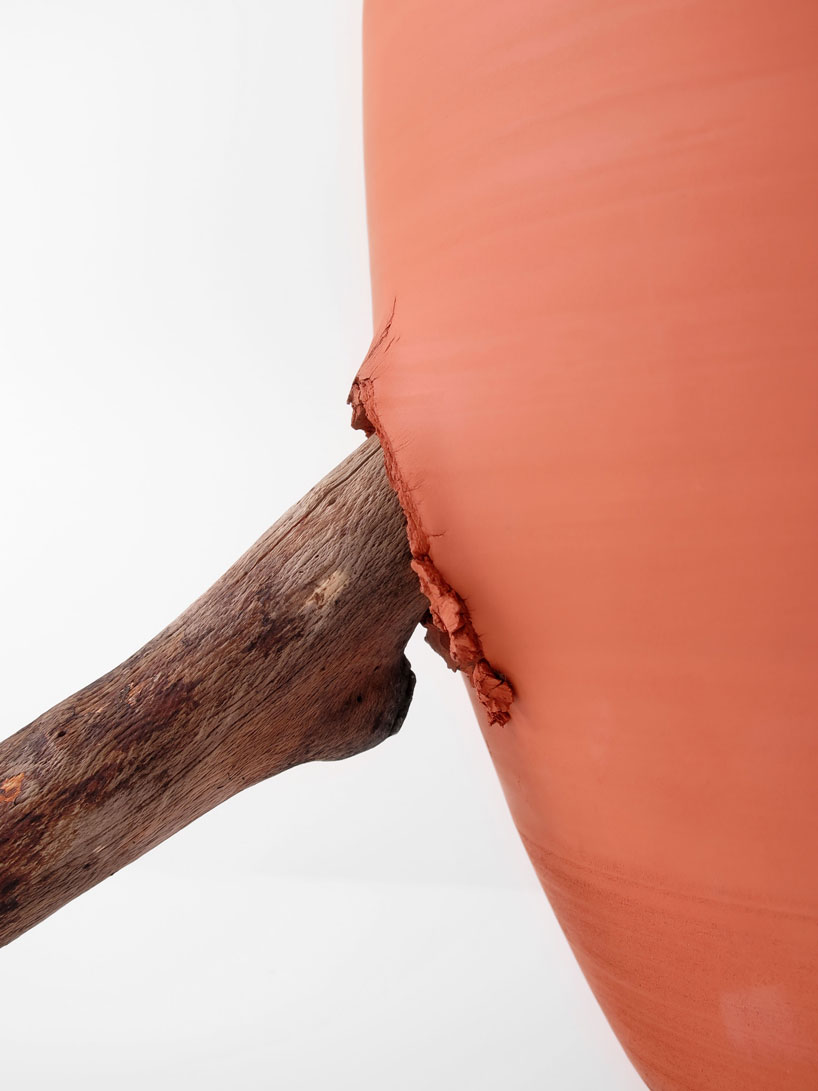 martín azúa's vases are tenderly interrupted by nature - 1