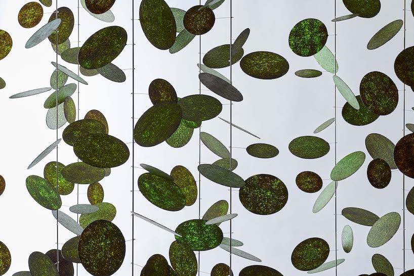 we+ revives contaminated seaweed as luminous installation using japanese handicrafts