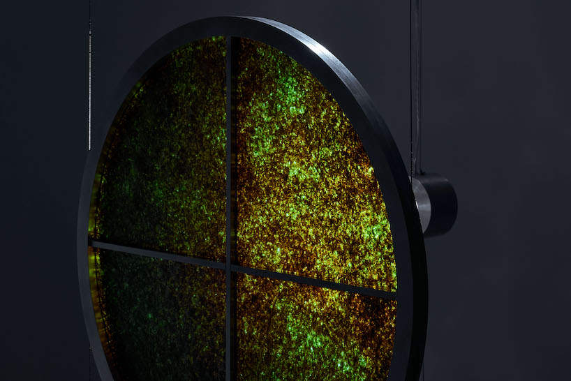 we+ revives contaminated seaweed as luminous installation using japanese handicrafts