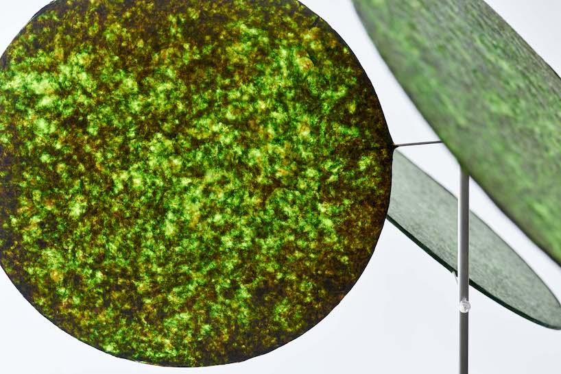 we+ revives contaminated seaweed as luminous installation using japanese handicrafts