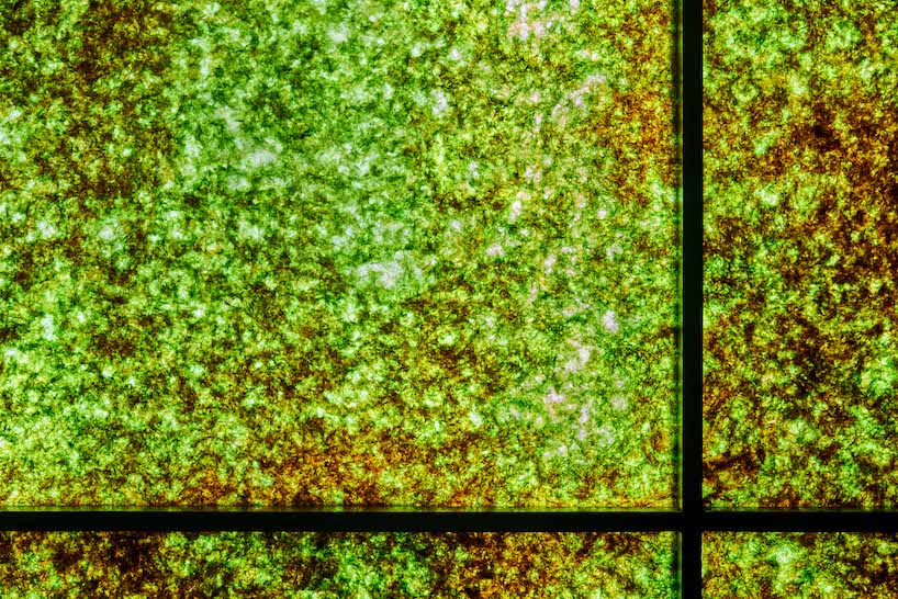 we+ revives contaminated seaweed as luminous installation using japanese handicrafts