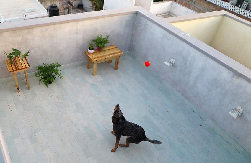 villers uses land condition to rethink small housing in mexico 1