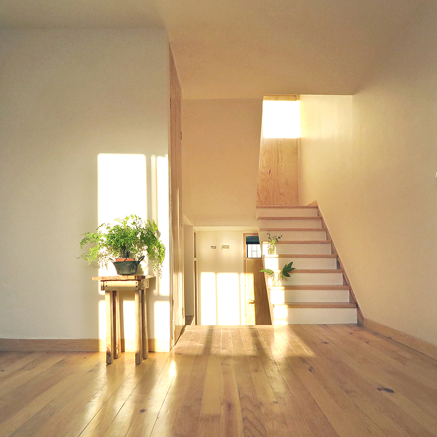 villers uses land condition to rethink small housing in mexico 7