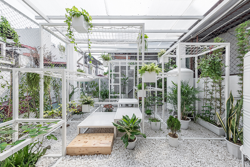 pavilion of the origins hung nguyen vietnam designboom