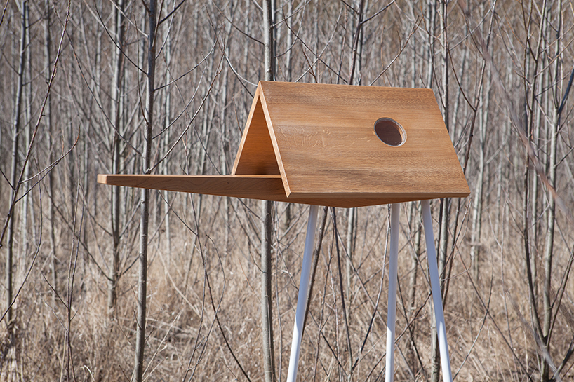 ODDO architects catwalk birdfeeder designboom 02