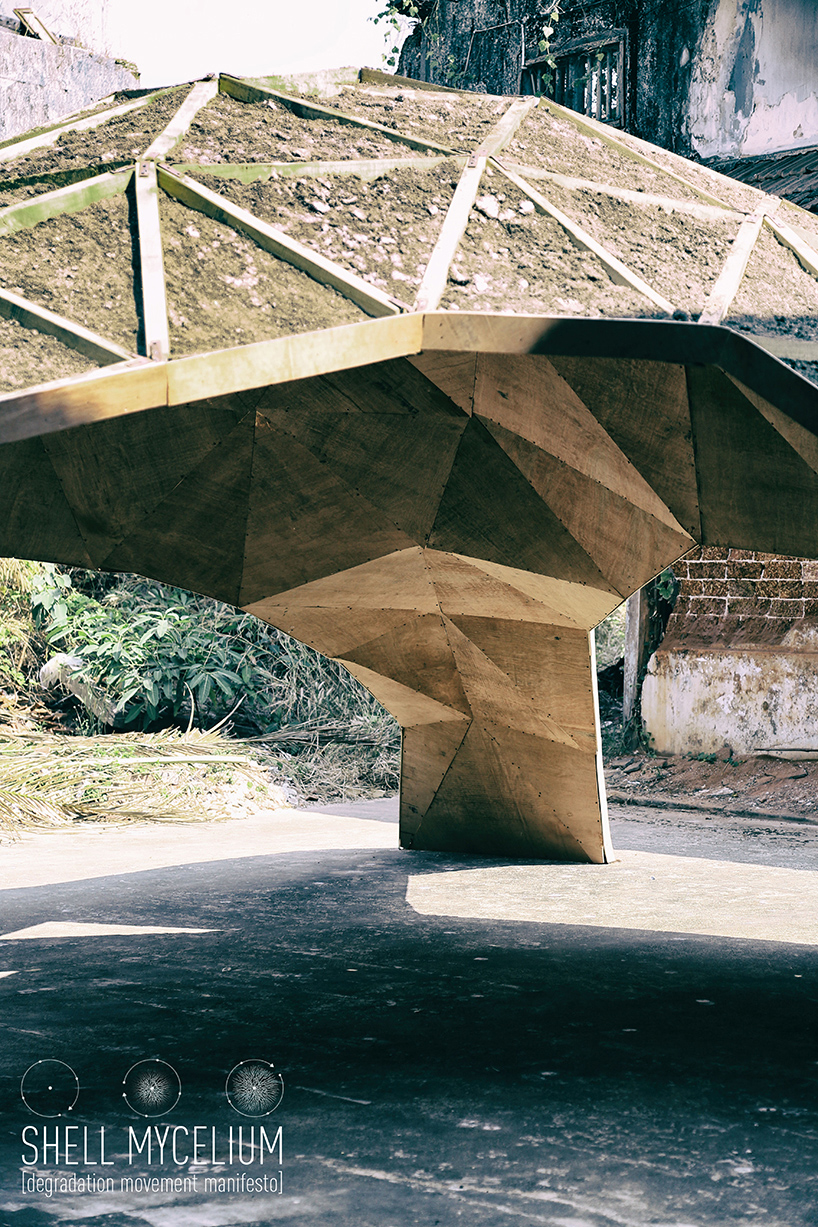 shell mycelium a degradation movement manifesto in