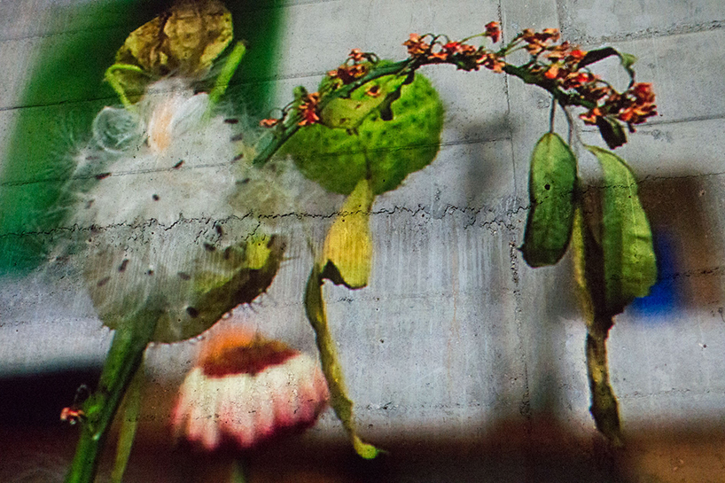 photography on a postcard art on a postcard martin parr designboom