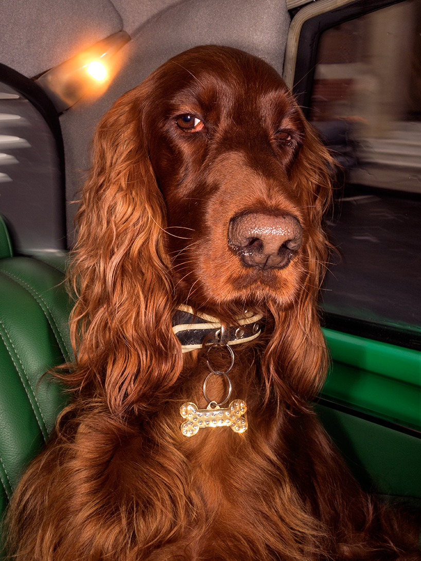 photography on a postcard art on a postcard martin parr designboom