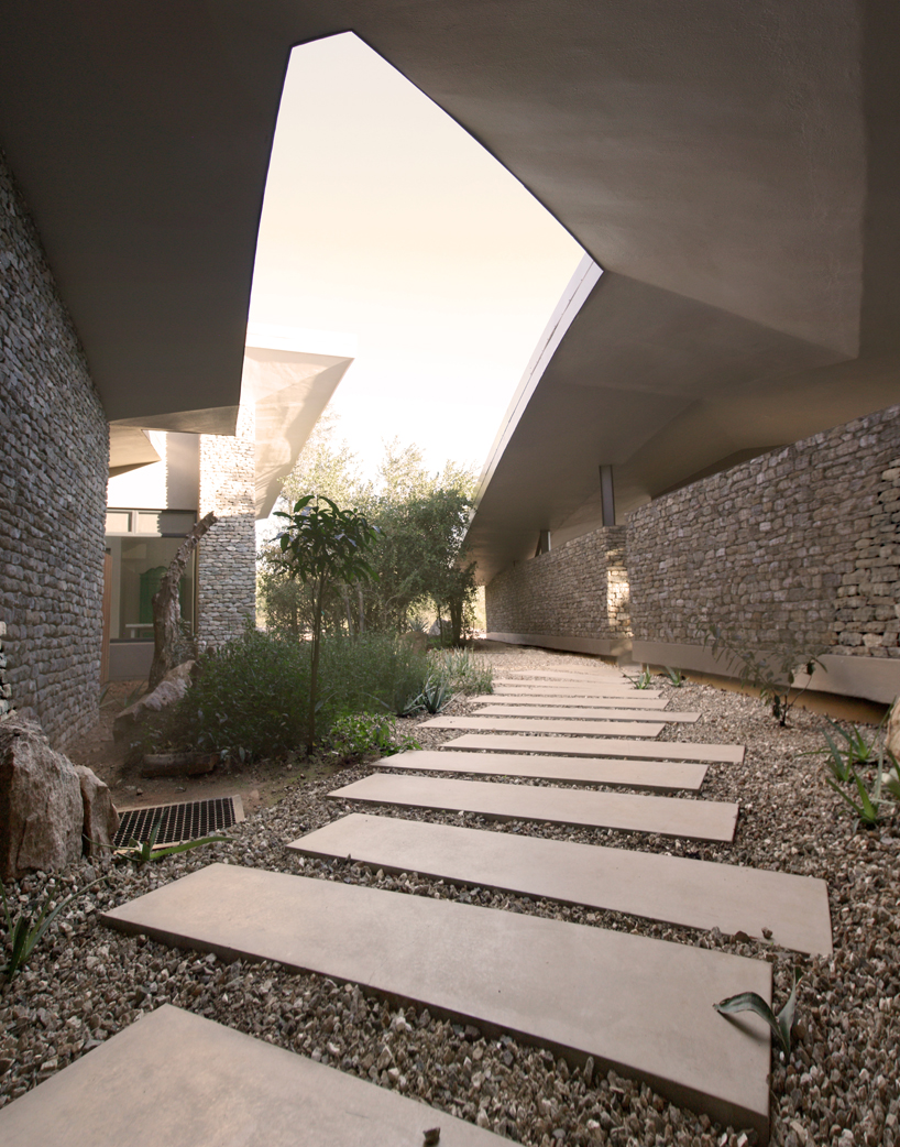 get up-close and personal with south african wildlife at the architects of justice-designed retreat - 7