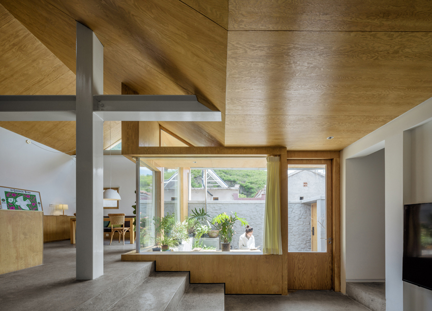 house of mountain birds to be free is to be high 6