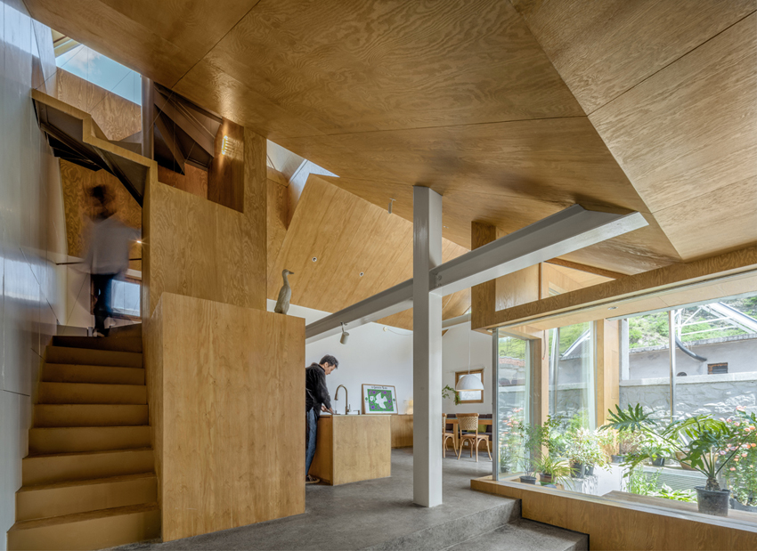 house of mountain birds to be free is to be high 7