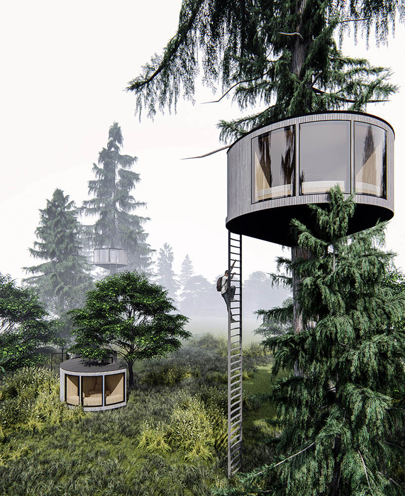 circular treehouse modules by manuel mosquera embrace forest trees in france