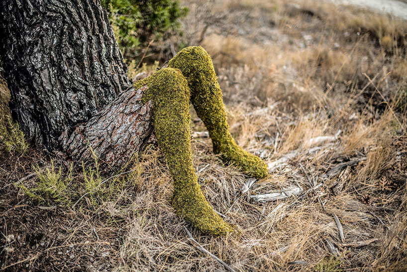 monsieur plant human nature, a surrealist evolution of the human being into a tree designboom