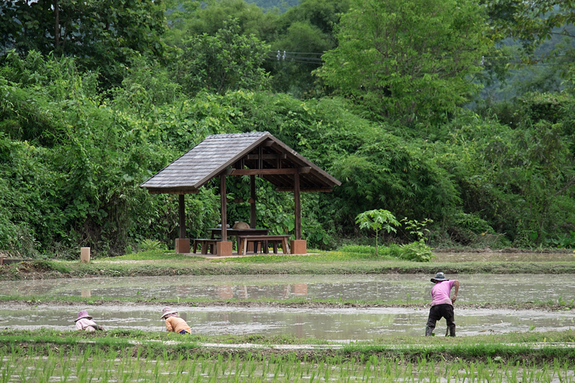 the ahsa farmstay by creative crews uses vernacular building techniques in thailand