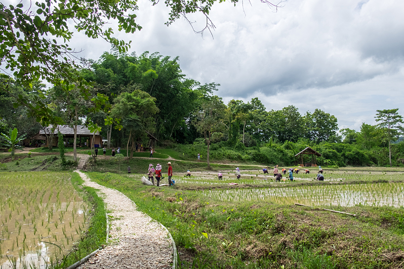 the ahsa farmstay by creative crews uses vernacular building techniques in thailand