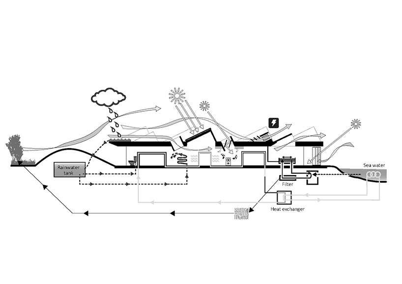 nord architects embeds a sustainable marine education center on the swedish coastline designboom