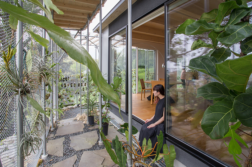 1-1 architects designs a family home for a tropical plant farmer in japan designboom