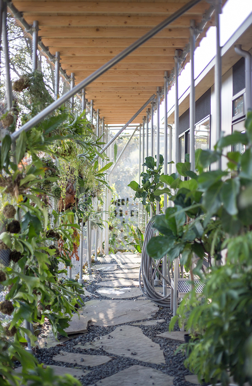 1-1 architects designs a family home for a tropical plant farmer in japan designboom