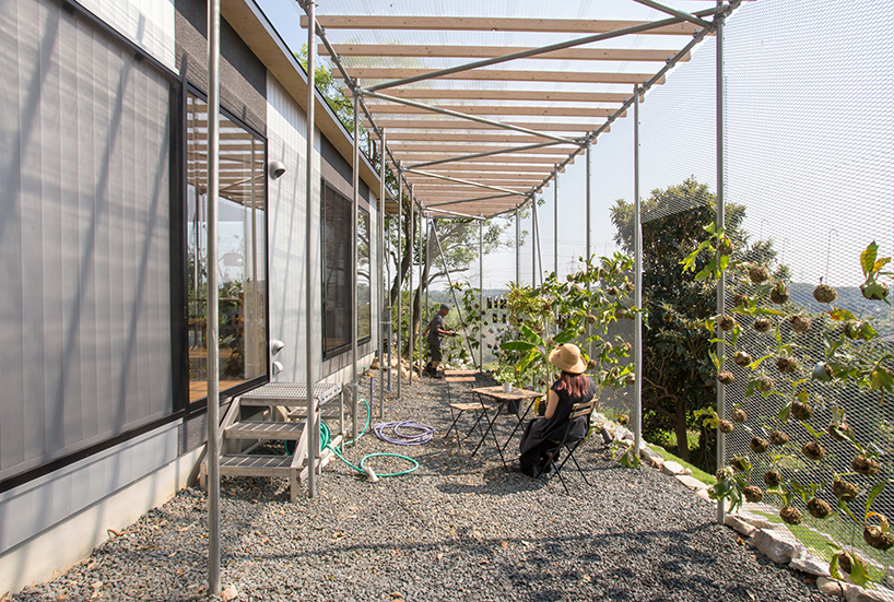 1-1 architects designs a family home for a tropical plant farmer in japan designboom