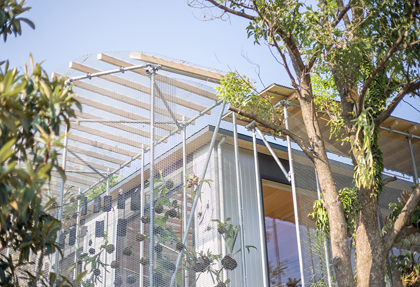 1-1 architects designs a family home for a tropical plant farmer in japan designboom