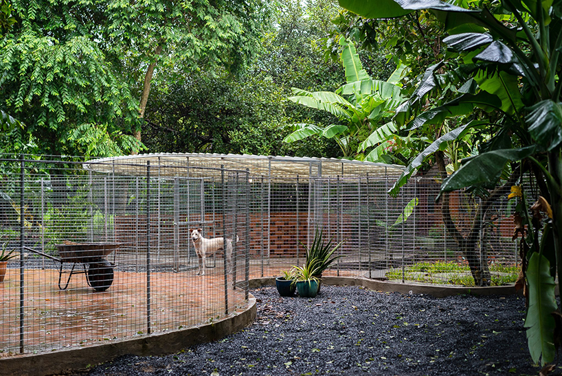 sawadeesign forms large circular enclosures for hoc mon pet shelter in vietnam designboom