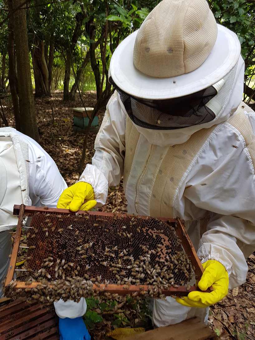 estudio flume constructs a beekeepers workshop on concrete piers in northern brazil designboom