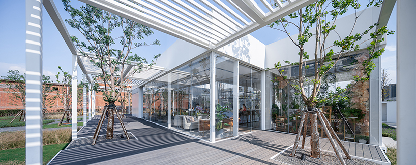 regeneration free spring morning suzhou 2