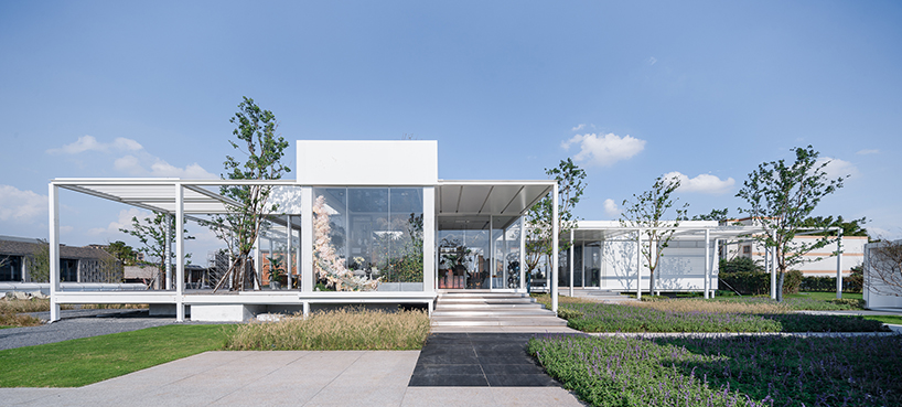 regeneration free spring morning suzhou 3