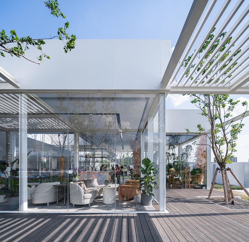 regeneration free spring morning suzhou 4