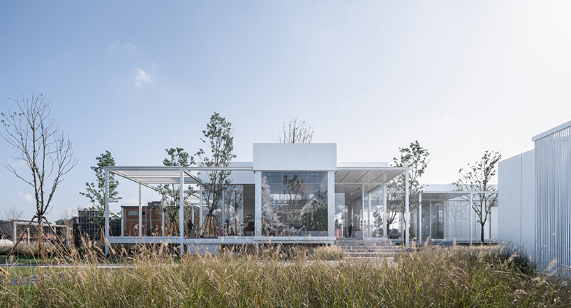 regeneration free spring morning suzhou 5