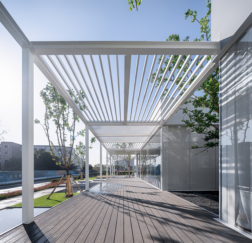 regeneration free spring morning suzhou 7