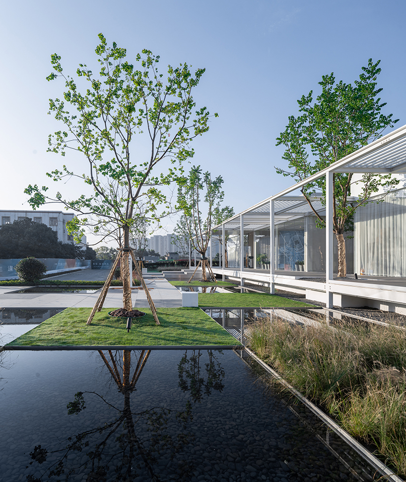 regeneration free spring morning suzhou 9