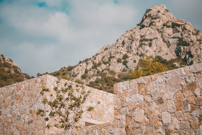 a school for the nature school edmond simeoni 4