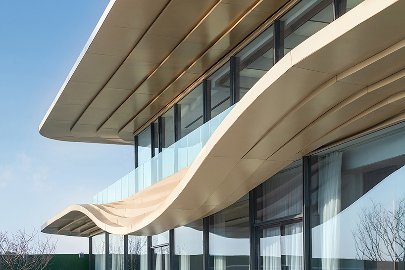 lycs making kincang egrets waves sales center fly within 100 days 6