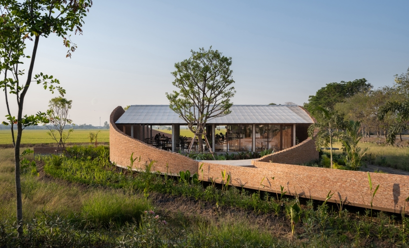 bodinchapa architects integrates naya cafe into the ever-changing rice fields in thailand