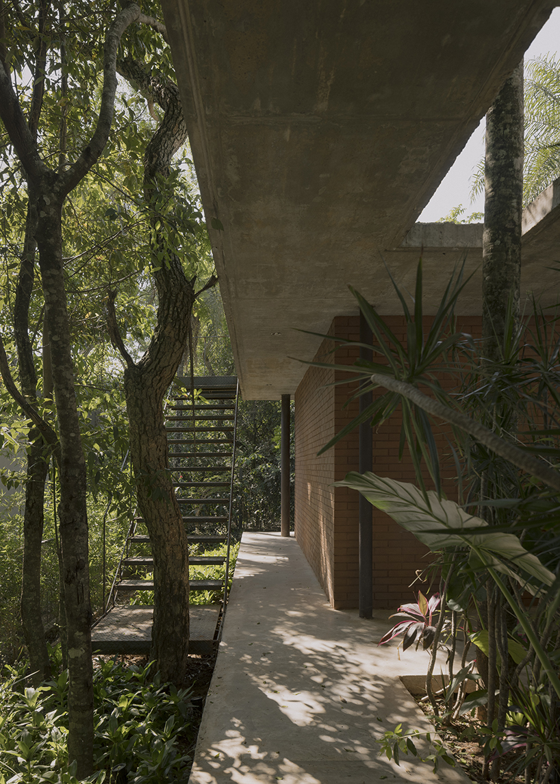 a forest in the house by equipo de arquitectura integrates existing trees into residential design in paraguay 9