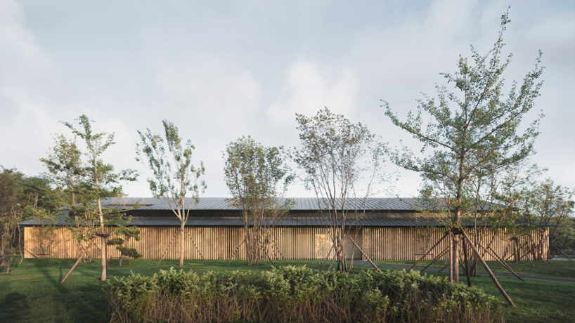 PLAT ASIA blends this dining club with the nearby forest using glass walls and timber designboom
