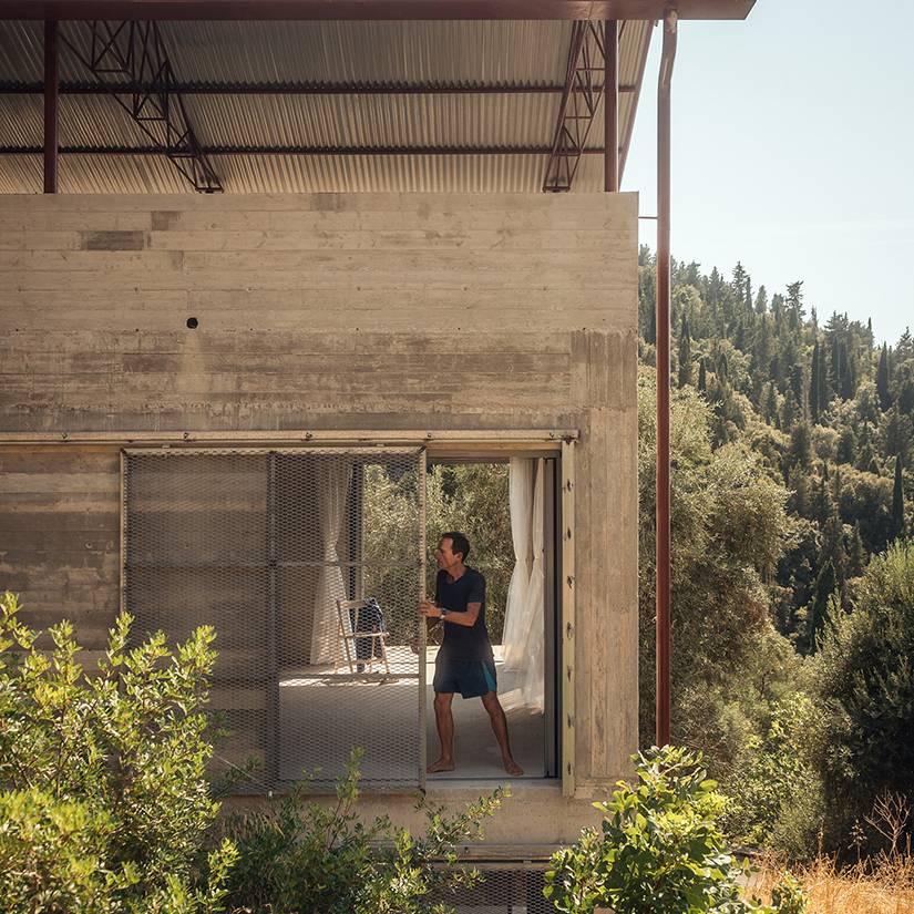 house in an olive grove 2