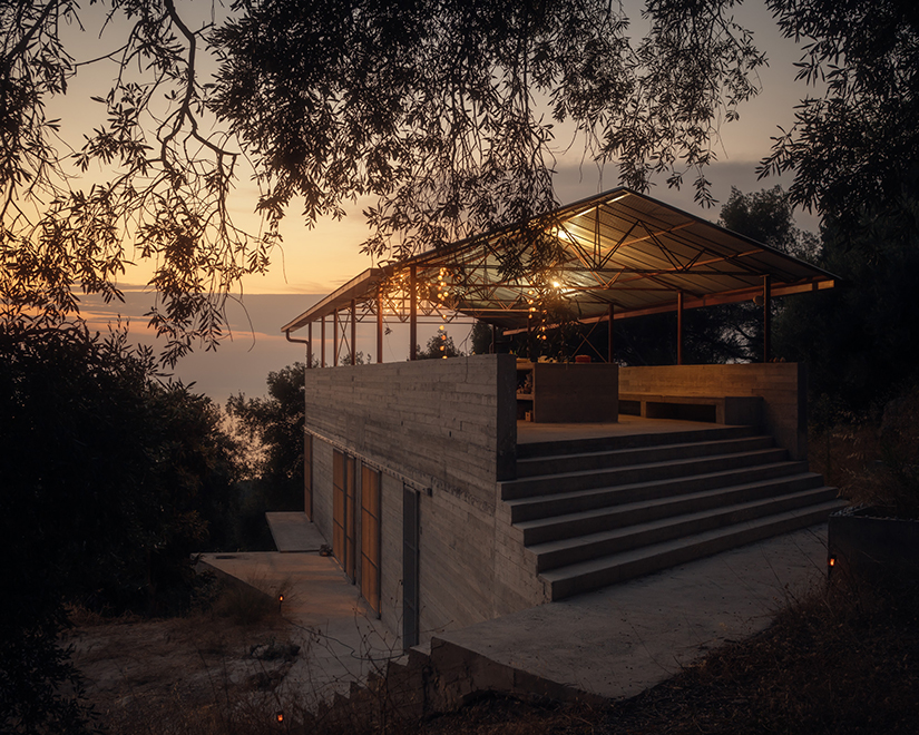 house in an olive grove 3