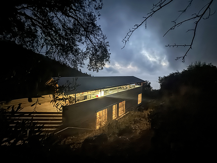 house in an olive grove 4