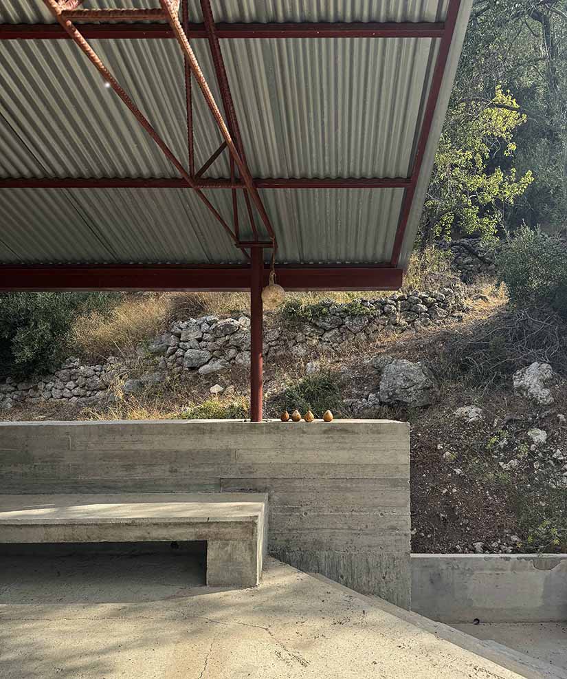 house in an olive grove 6