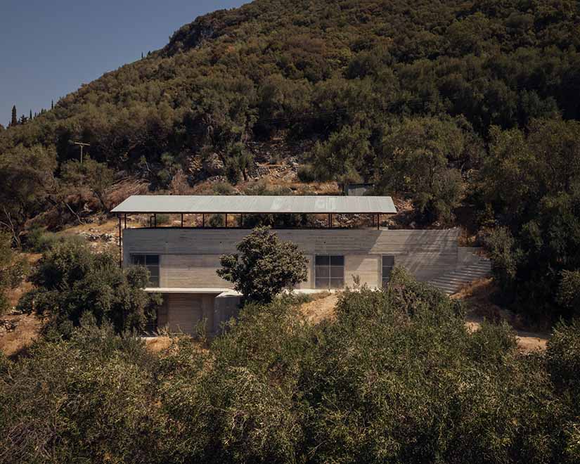 house in an olive grove 8