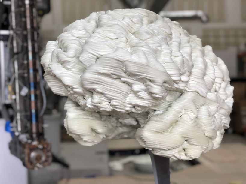 3D print brain