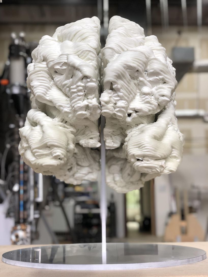 3D print brain