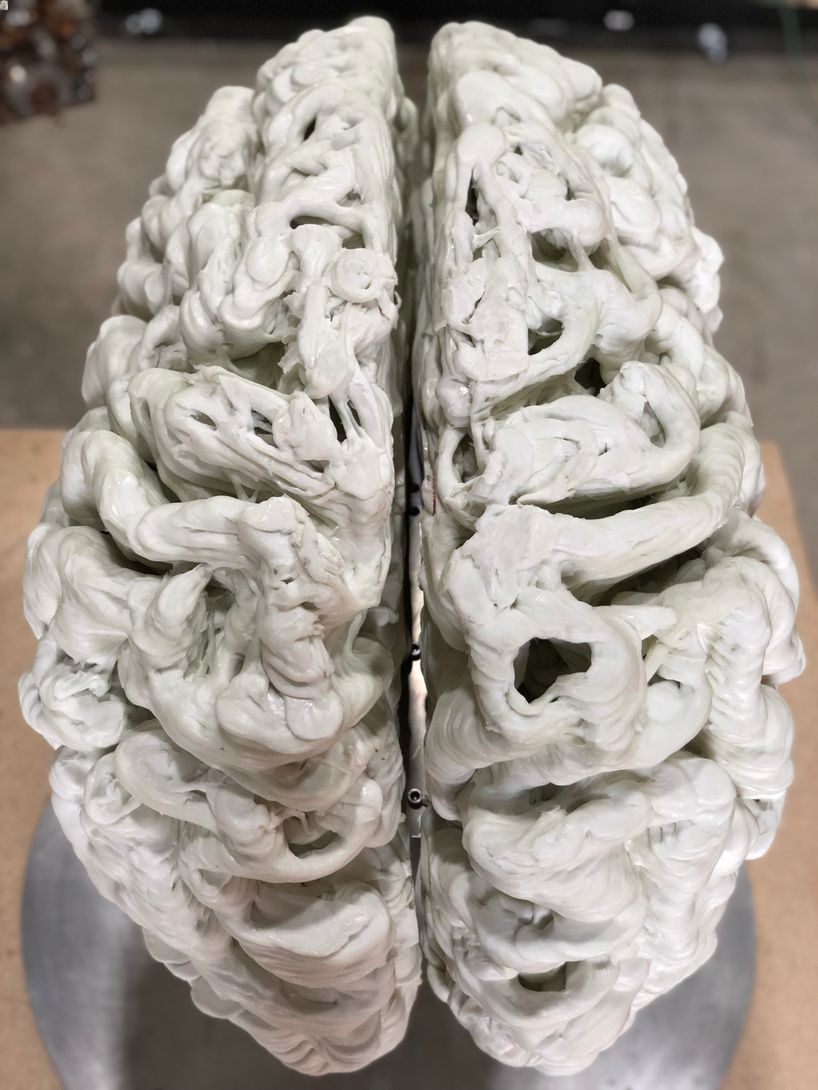 3D print brain