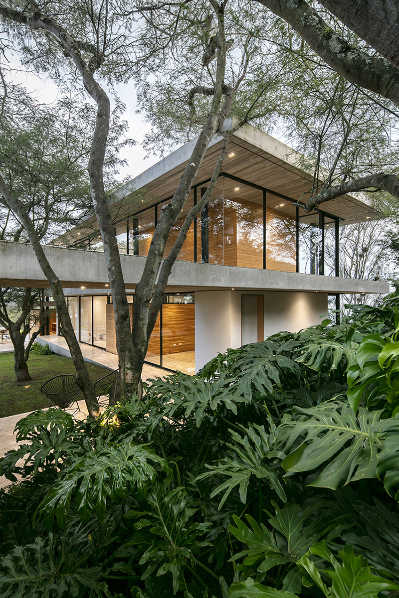 gabriel rivera arquitectos creates a house to live amongst the trees in ecuador