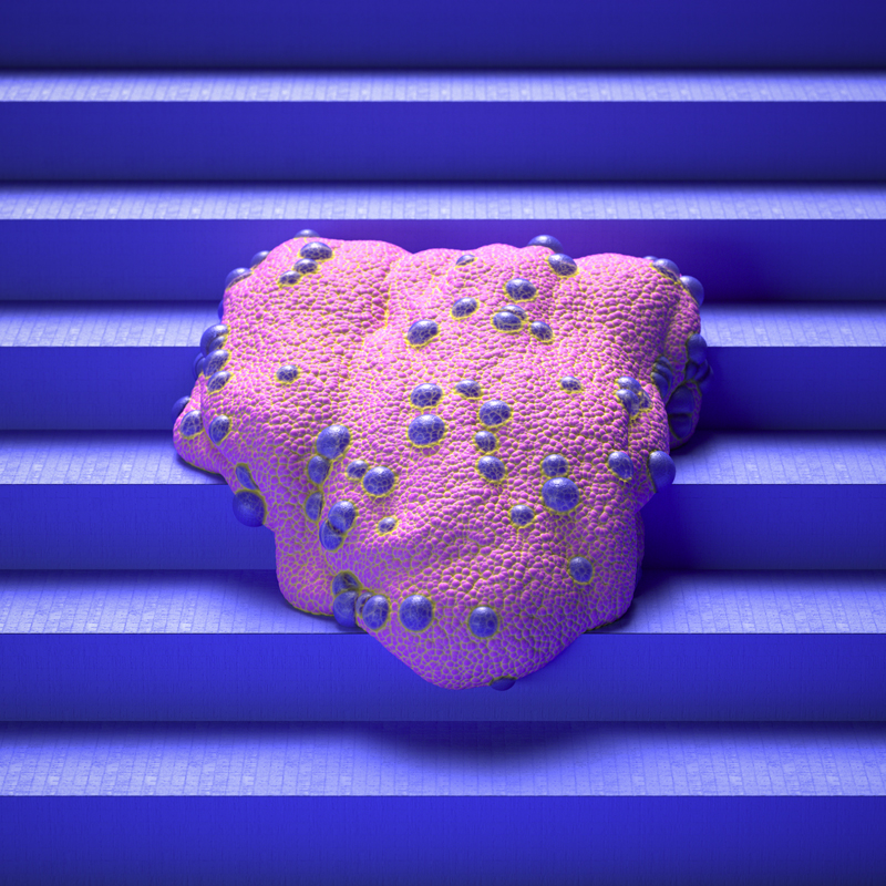 this fantastically strange animation sees squidgy creatures interact with hard surfaces martin salfity designboom