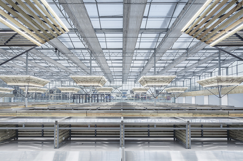 LUO studio prefabricates modular components to build a temporary indoor market in china designboom