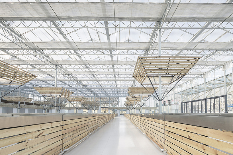 LUO studio prefabricates modular components to build a temporary indoor market in china designboom